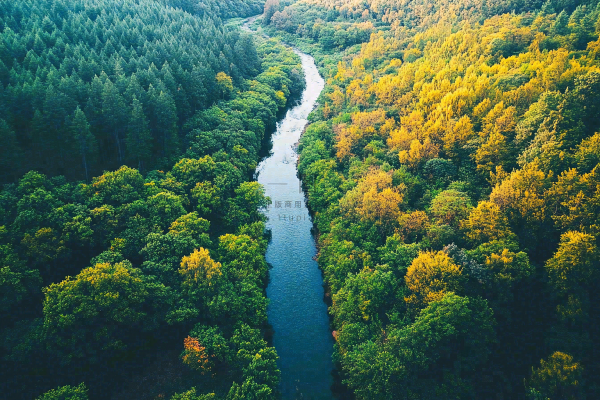 秋天立秋森林大自然风景摄影图 秋天立秋森林大自然风景摄影图