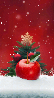 雪地里的红苹果雪花平安夜红色背景