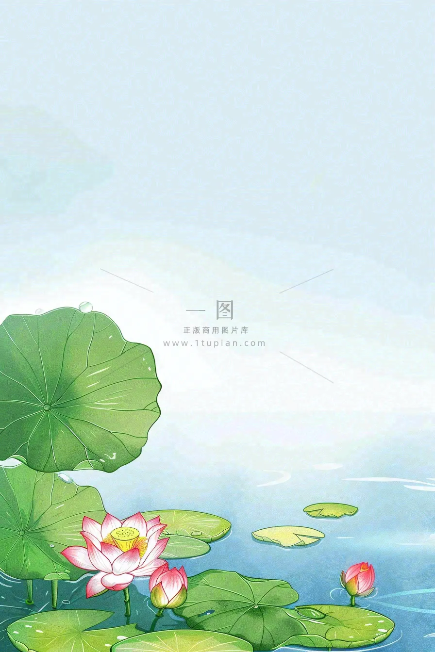 夏日池塘里的荷花荷叶插画清新淡雅立夏小暑大暑处暑卡通插画背景