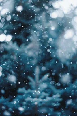 冬季下雪天寒冷树林松树小雪大雪小寒摄影图