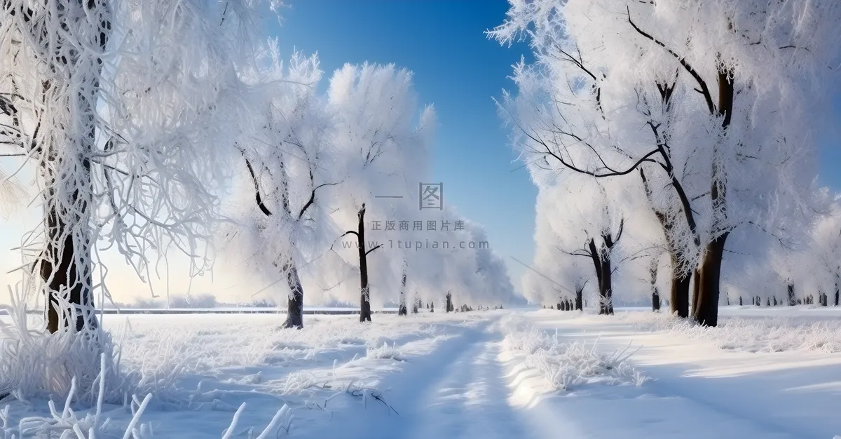 冬天雪景图下雪马路旁边空旷的地上厚厚的积雪摄影图