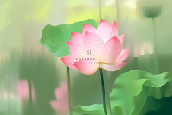 创意意境荷花粉色雾面背景 创意意境荷花粉色雾面背景