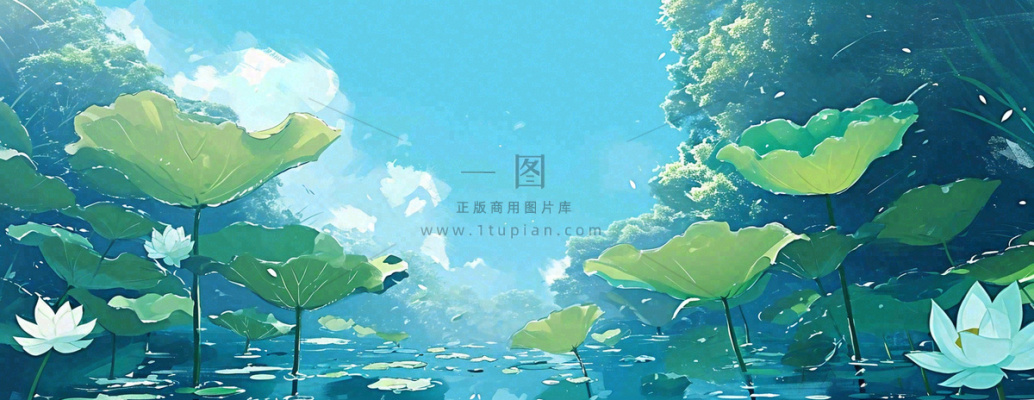 夏天湖面落叶荷花荷叶水面仰视,夏至小暑大暑 夏天湖面落叶荷花荷叶水面仰视,夏至小暑大暑