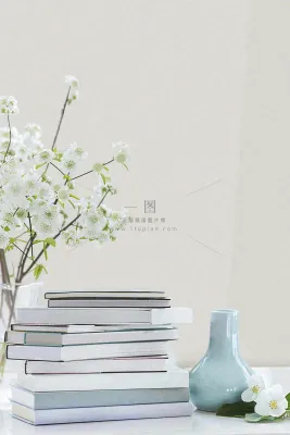文静花瓶装饰书本阅读知识世界读书日摄影图