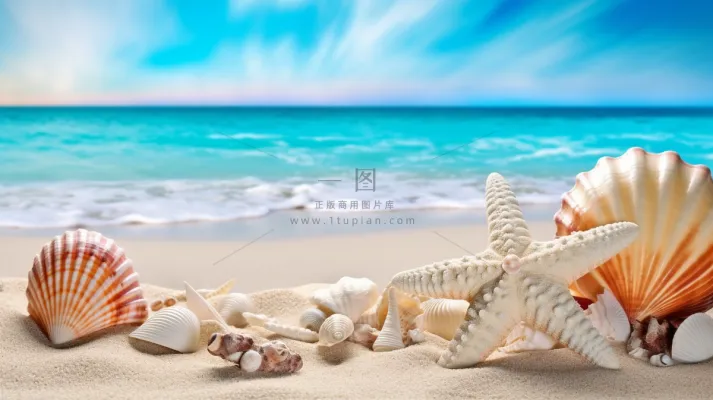 海边沙滩的海星贝壳摄影图