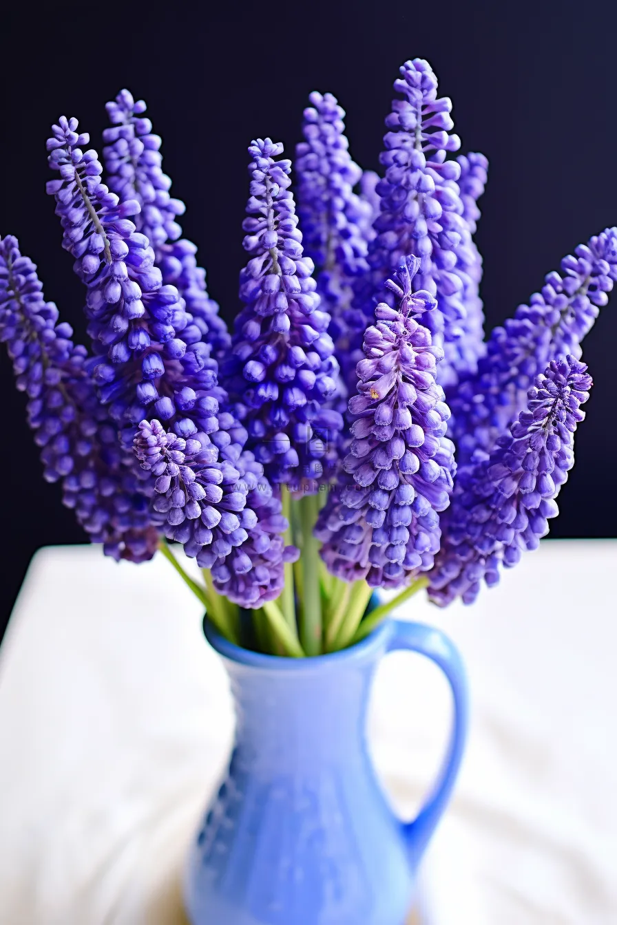花瓶里装的葡萄花信子鲜花摄影图