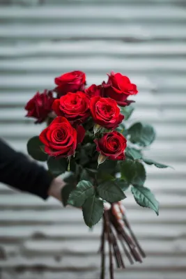 玫瑰花鲜花花朵摄影图