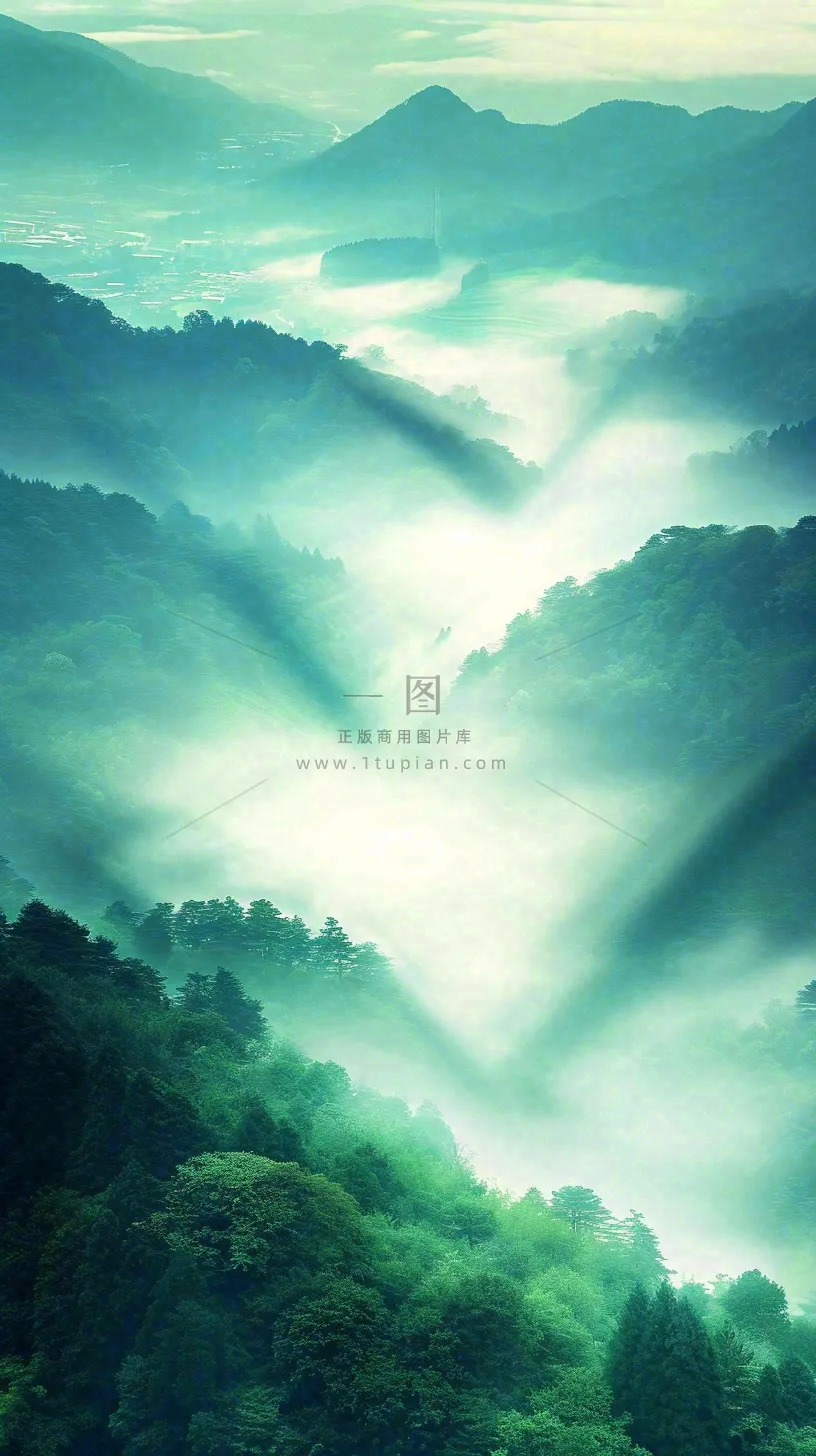 中国风高山绿植森林丛林,阳光蓝天白云,户外