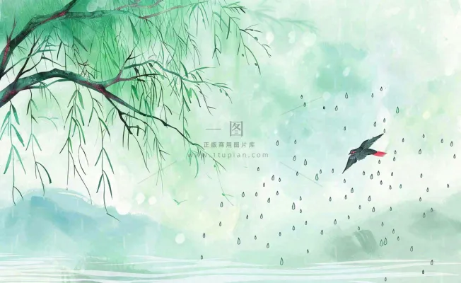 春天梅雨季柳树燕子清冷雨水谷雨惊蛰清明节水墨水彩插画背景