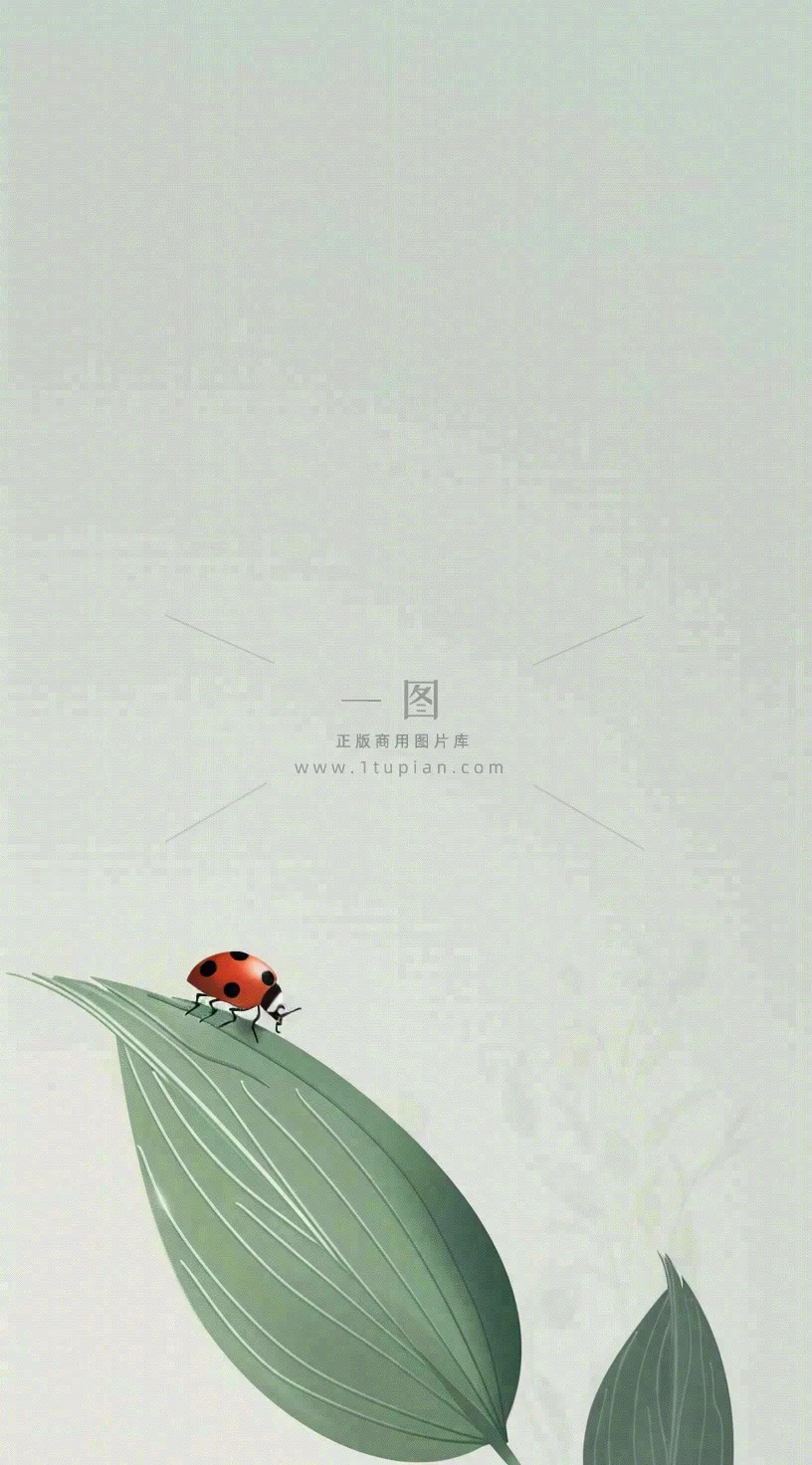 春天国风插画绿叶上的昆虫惊蛰插画背景