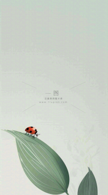 春天国风插画绿叶上的昆虫惊蛰插画背景 春天国风插画绿叶上的昆虫惊蛰插画背景