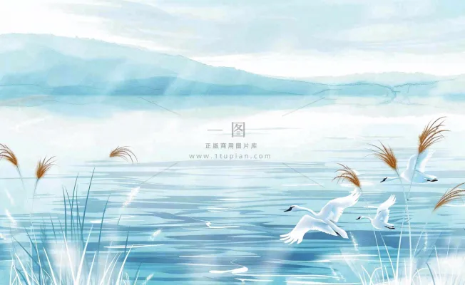 唯美白露插画白鹭动物风景秋天景色寒冷清冷芦苇丛寒露背景