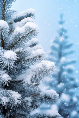 简约雪树蓝色背景 简约雪树蓝色背景