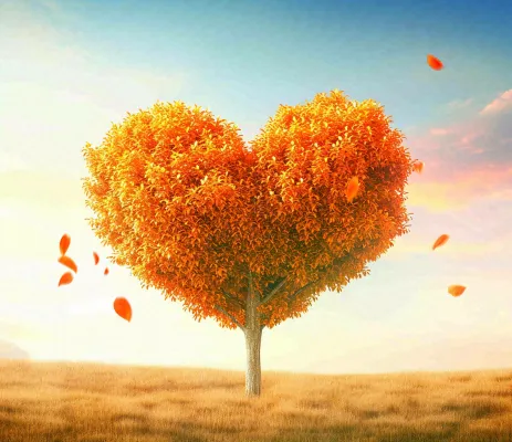 秋天爱心树木橙红色落叶蓝天温馨 秋天爱心树木橙红色落叶蓝天温馨