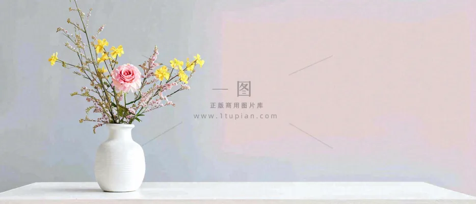 简约的墙面前有一瓶鲜花花束绿植,鲜艳清新新鲜室内装饰摄影图 简约的墙面前有一瓶鲜花花束绿植,鲜艳清新新鲜室内装饰摄影图