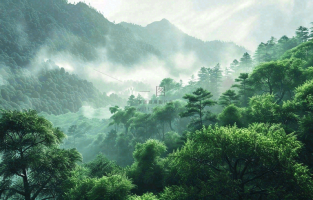 国际山岳日 国际山岳日