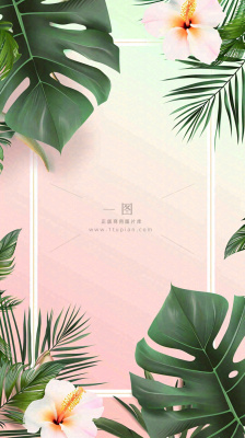 粉色鲜花绿植清新插画,书信书签邀请函 粉色鲜花绿植清新插画,书信书签邀请函