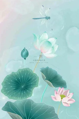 夏天小清新荷花荷叶静雅弥散风绿粉色蜻蜓立夏夏至处暑插画背景 夏天小清新荷花荷叶静雅弥散风绿粉色蜻蜓立夏夏至处暑插画背景