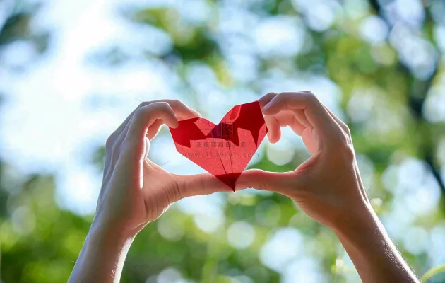 手拿红色爱心比心场景阳光唯美小清新情人节七夕摄影图