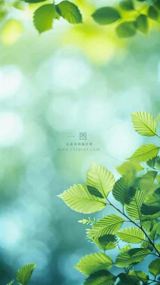 阳光明媚春天春意盎然嫩草,发芽,春分,立春摄影图 阳光明媚春天春意盎然嫩草,发芽,春分,立春摄影图