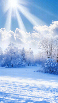 冬天东北森林白雪覆盖阳光小寒大寒大雪摄影图