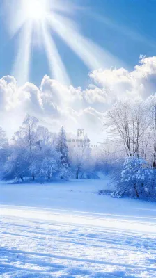 冬天东北森林白雪覆盖阳光小寒大寒大雪摄影图