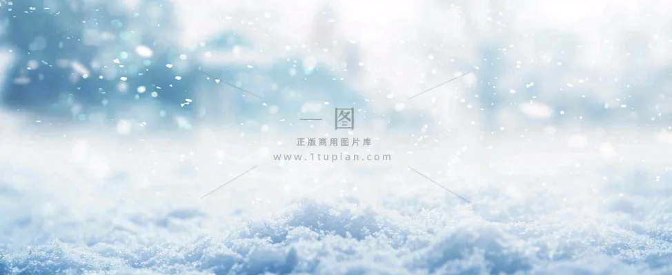 冬天白色闪耀的雪花寒冷唯美小寒大寒立冬大雪摄影图