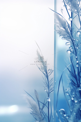 冰冷天气枝叶水珠背景 冰冷天气枝叶水珠背景