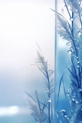 冰冷天气枝叶水珠背景 冰冷天气枝叶水珠背景