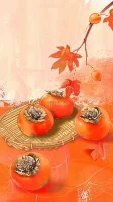 成熟的柿子水果红色背景插画霜降背景