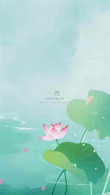 夏天荷花荷叶清凉小清新淡雅立夏夏至暑插画背景 夏天荷花荷叶清凉小清新淡雅立夏夏至暑插画背景