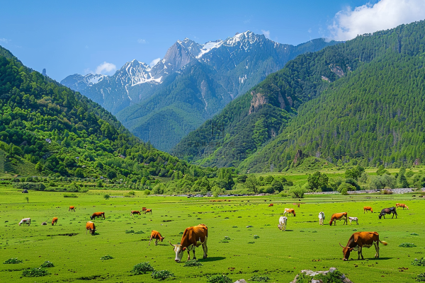 春天草甸草地山坡摄影图
