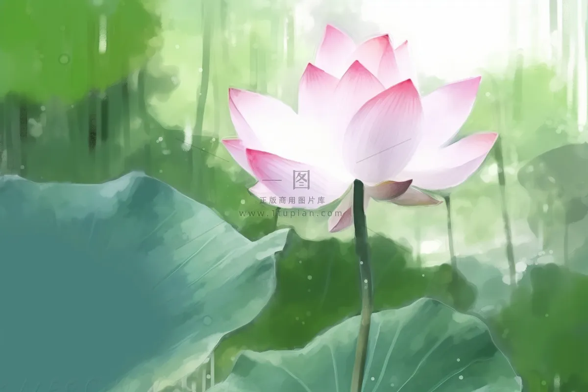 国风荷花水墨节气背景