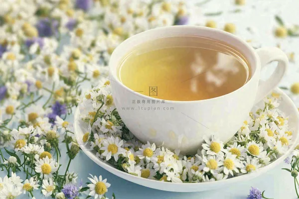 菊花茶白色茶具唯美雏菊下午茶摄影图