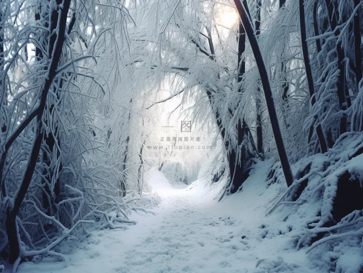 冬天大雪雪花雾凇摄影图