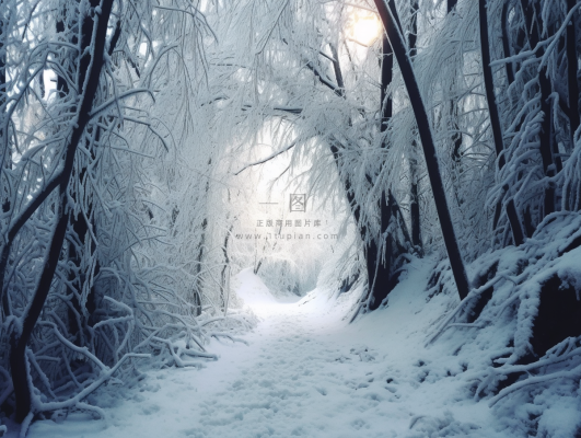 冬天大雪雪花雾凇摄影图