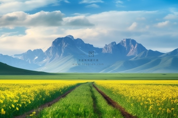 新疆春天草原风光大自然风景摄影图