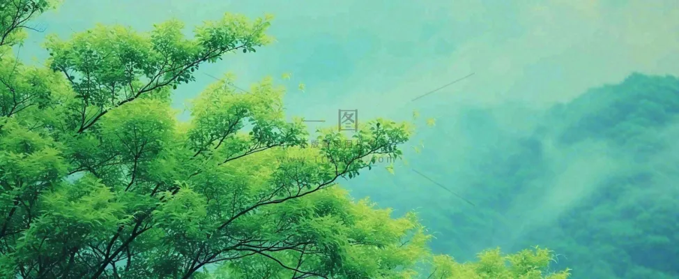 悬崖高山意境云层绿树树木特写