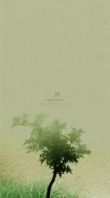 简约绿色叶子影子纹理 简约绿色叶子影子纹理