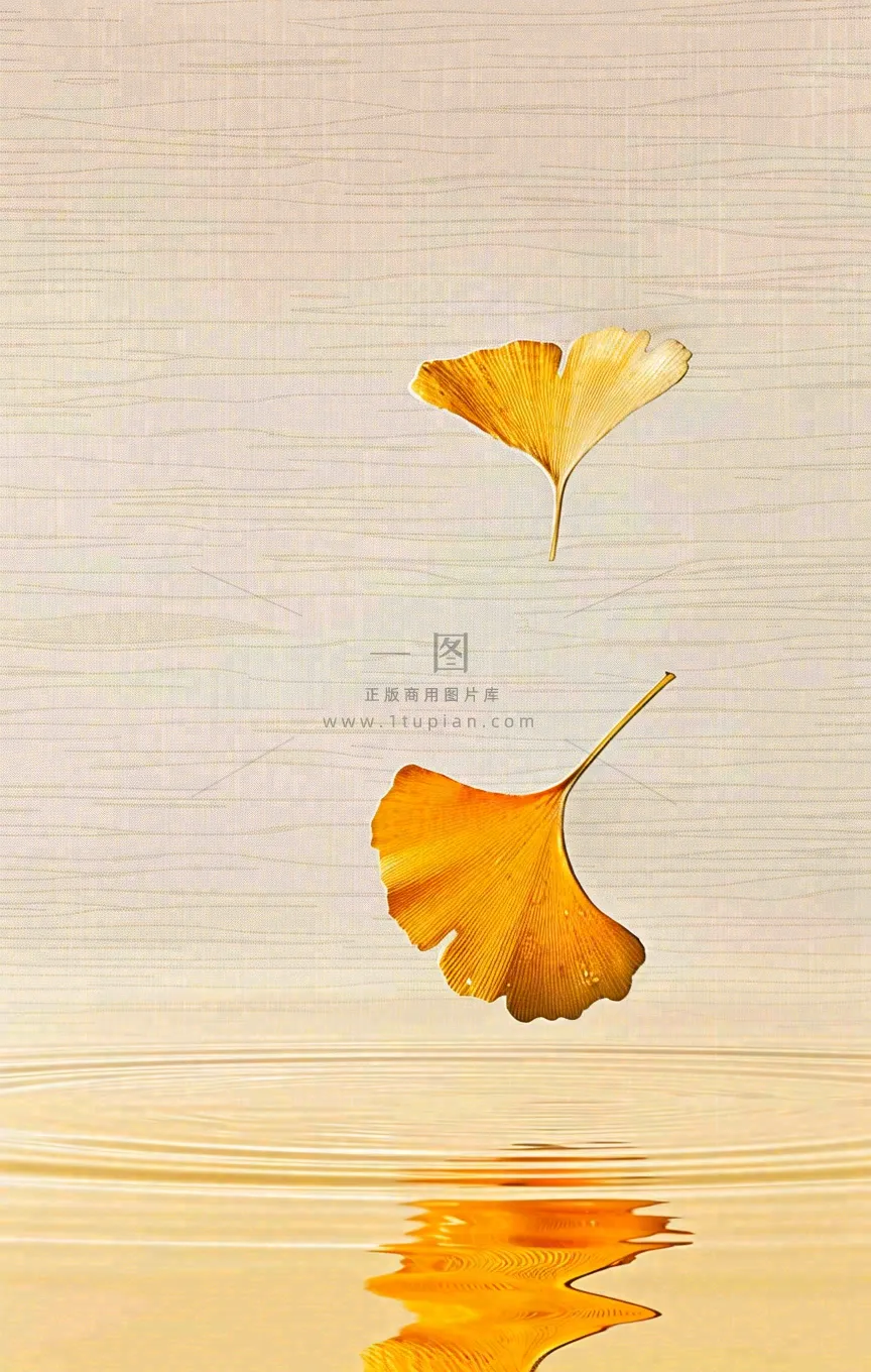 秋天秋分立秋