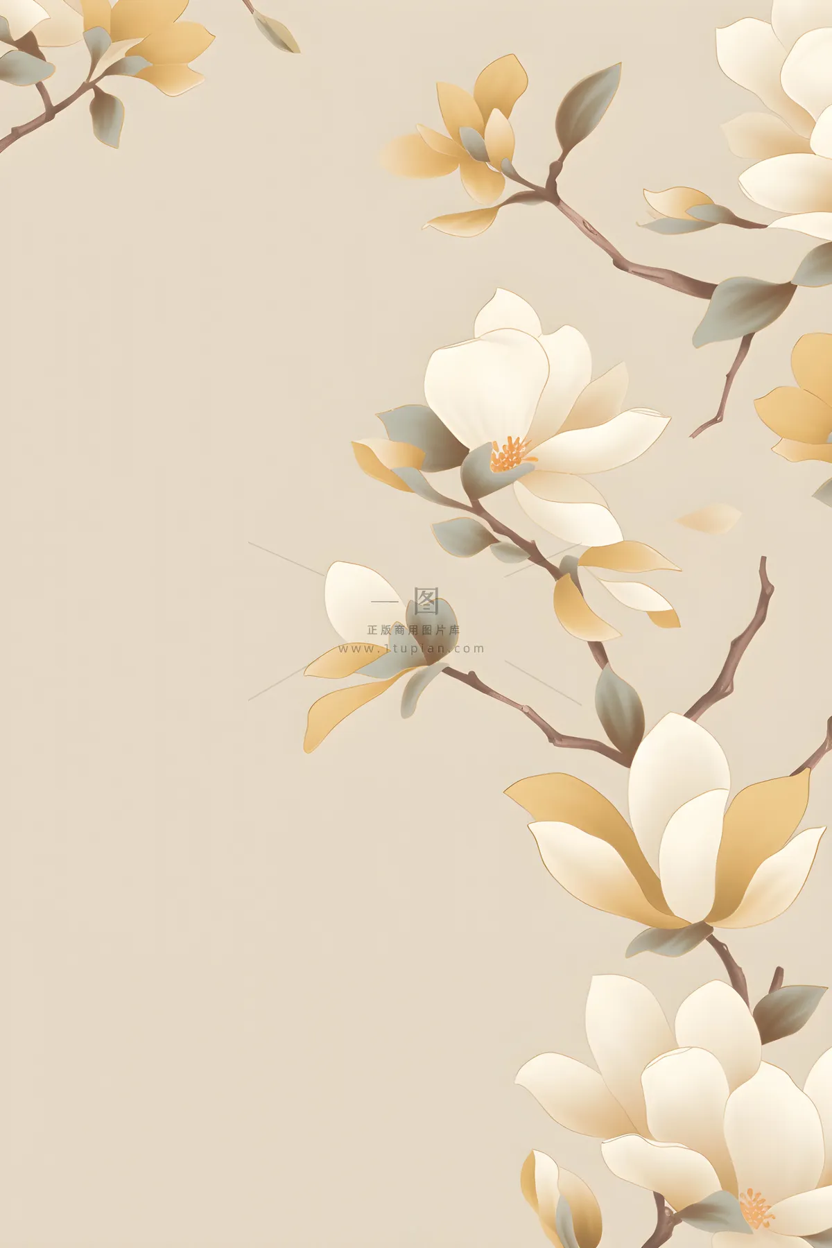 花朵白色国风简约背景