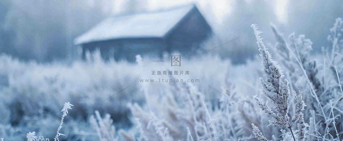 冬天植物森林里的木屋白雪覆盖小寒小雪摄影图