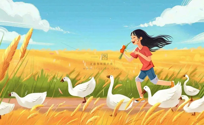 秋天丰收农田女孩赶鸭鹅农活农忙欢乐金色麦田秋分立秋芒种卡通插画背景