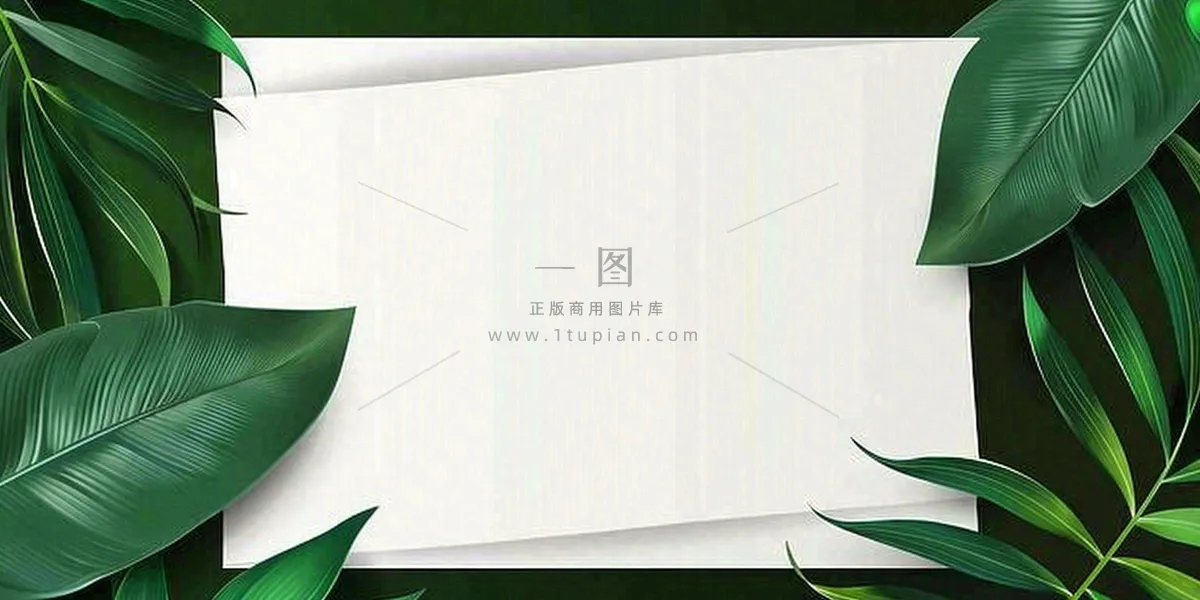 绿叶粽叶绿色边框白色信封端午节插画背景
