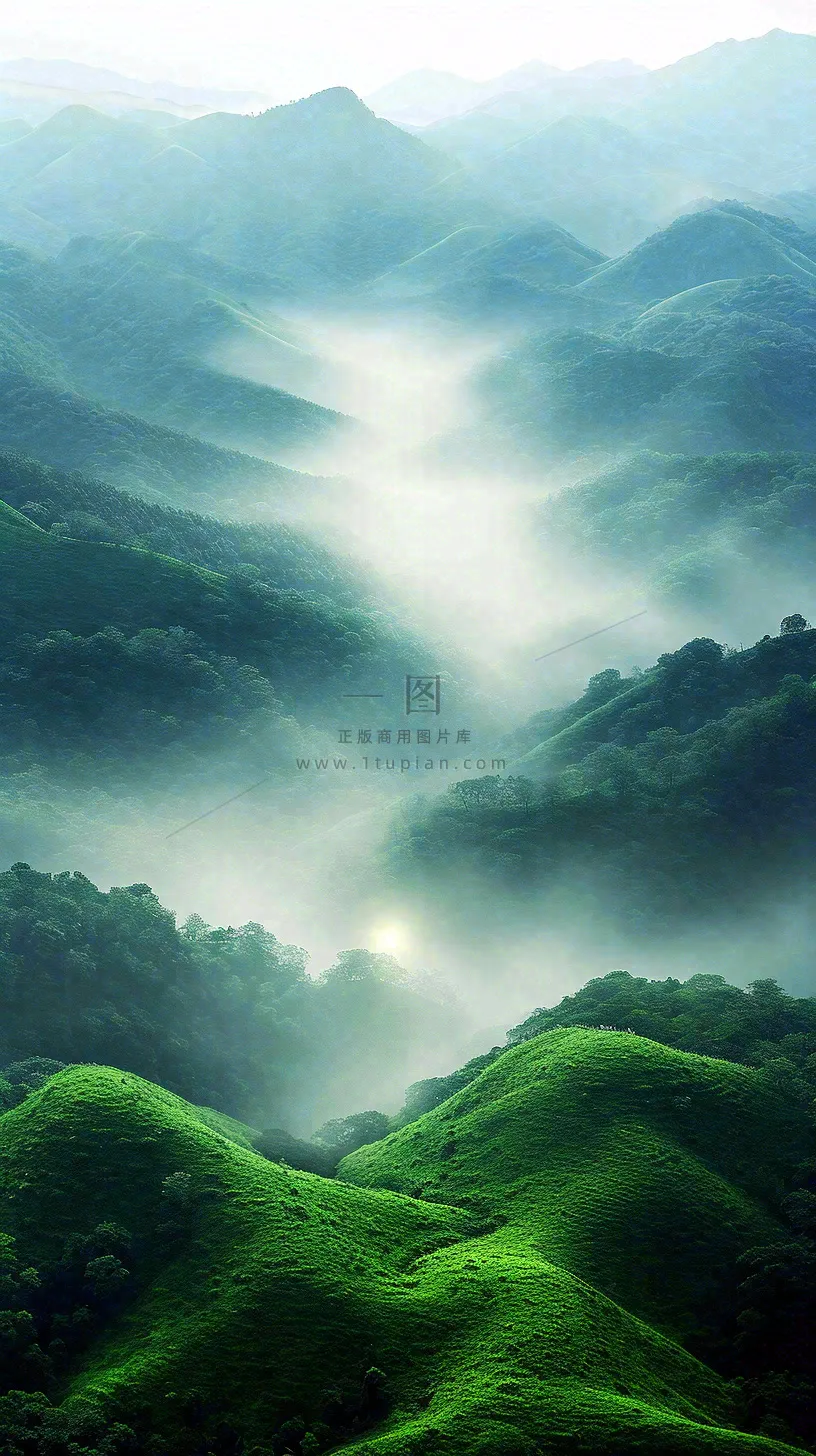 中国风高山绿植森林丛林，阳光蓝天白云，户外