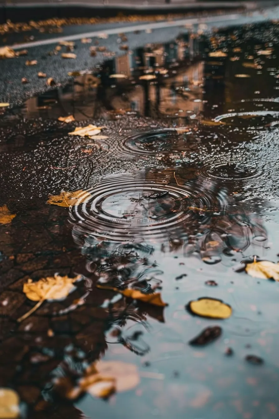 金秋下雨天的路面水洼落叶摄影图