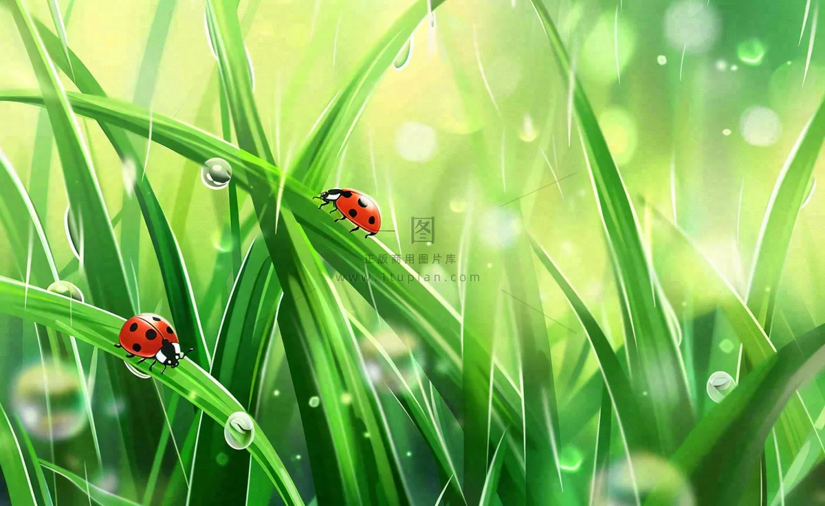惊蛰雨水谷雨春天瓢虫昆虫绿色嫩草下雨天卡通插画背景