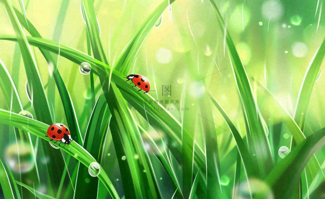 惊蛰雨水谷雨春天瓢虫昆虫绿色嫩草下雨天卡通插画背景 惊蛰雨水谷雨春天瓢虫昆虫绿色嫩草下雨天卡通插画背景
