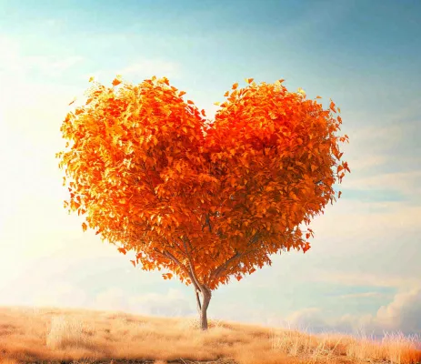 秋天爱心树木橙红色落叶蓝天温馨