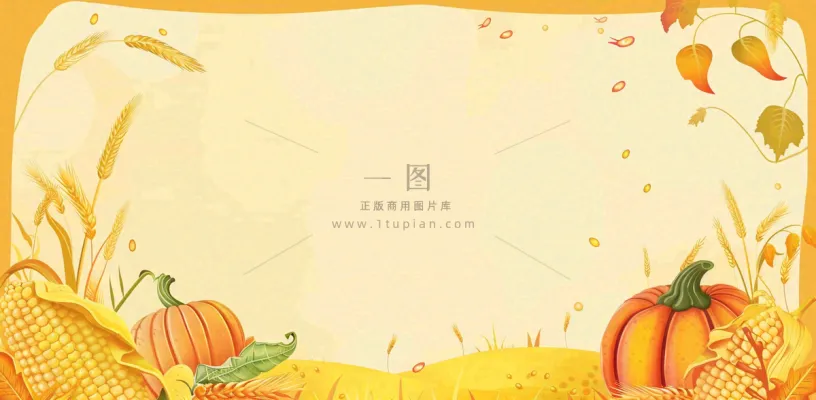 世界粮食日稻谷麦穗秋收卡通插画芒种秋分背景